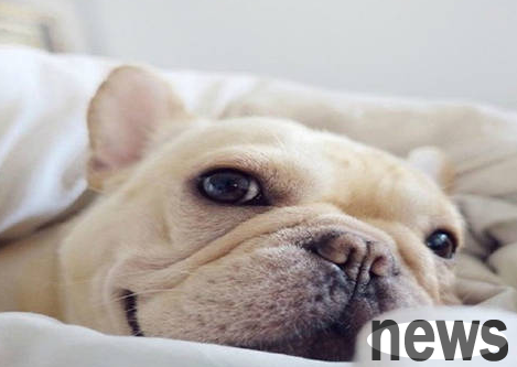 What medicine should I take when I have a cold? How to take care of treatment?